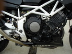     Yamaha TRX850 1995  16